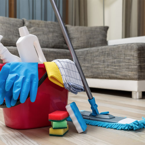 Domestic Cleaning